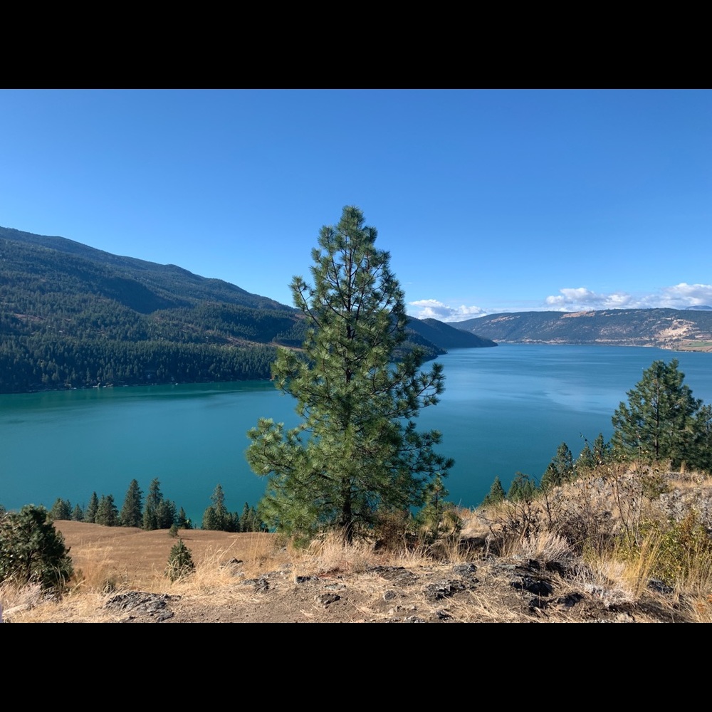 Meet your Posher, Drew